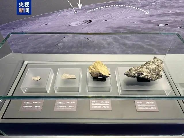 一车次！下月5日起珠海站部分列车运行有调整→龙8国际龙8网站新闻早茶｜一次扫码可乘坐任意(图7)