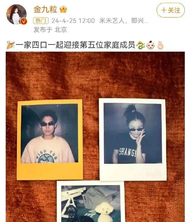 4 娱乐圈幸福婚讯大盘点龙8国际龙8网站202(图23)