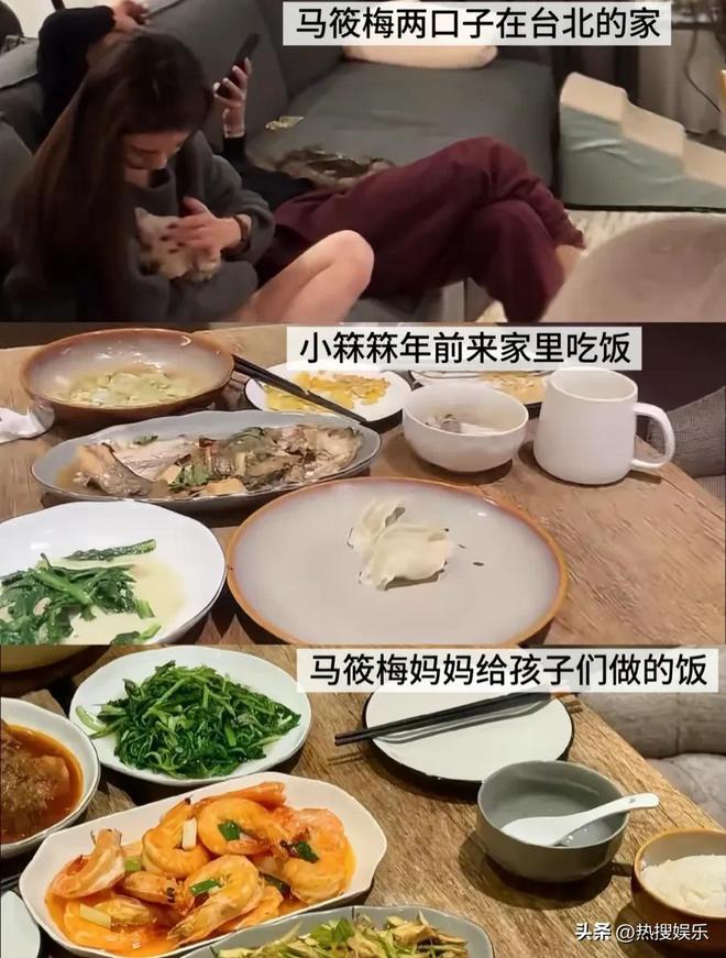 梅发声首次公开俩孩子居住环境小杨阿姨回怼黑粉为大S和马筱