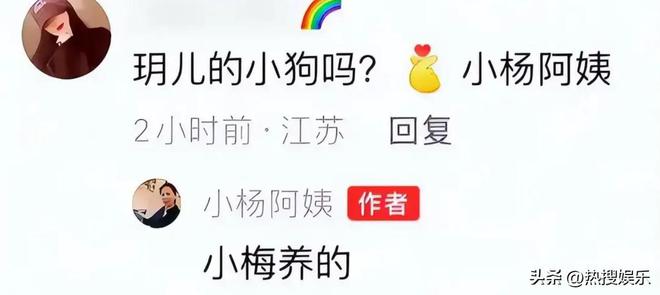 梅发声首次公开俩孩子居住环境小杨阿姨回怼黑粉为大S和马筱(图4)